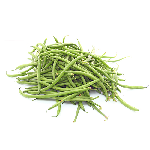 Haricots verts extra fin